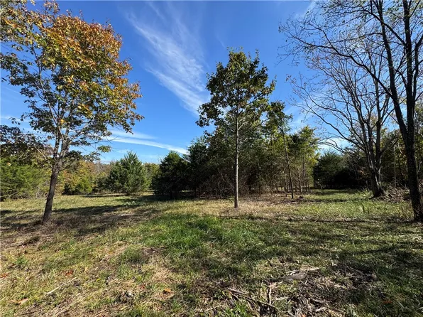 TRACT & 2a Downing Rd #3A, Elkins, AR 72727