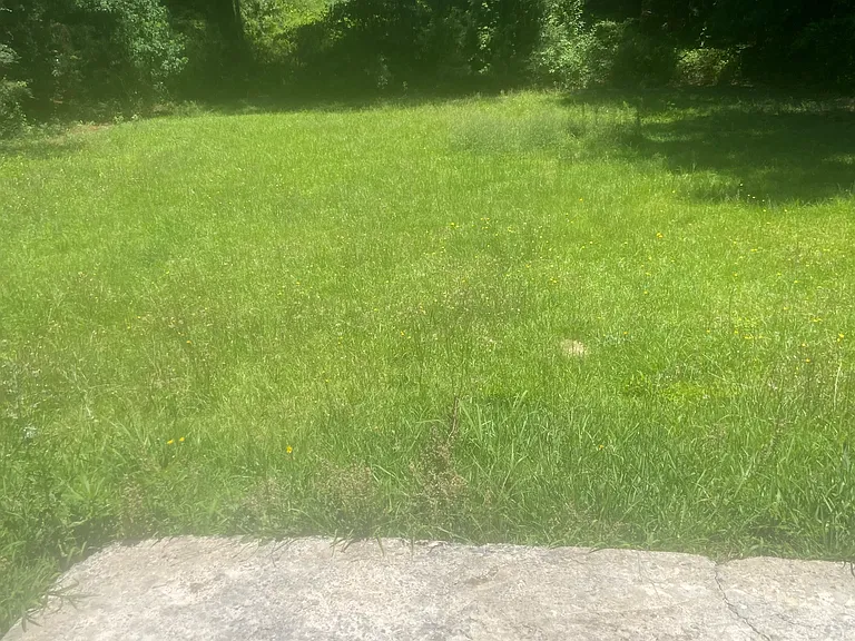 2473 Charlene Ct — Photo 2