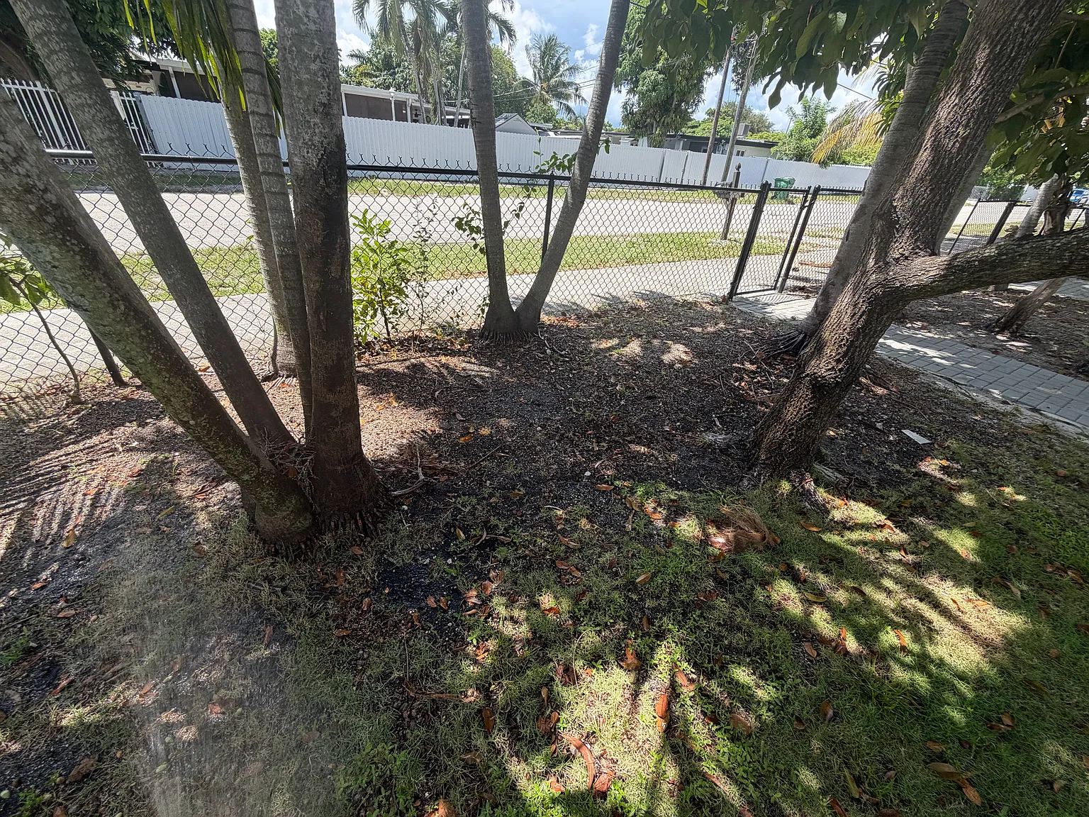 3 bed, 1377 sqft, $4,150 — Photo 4