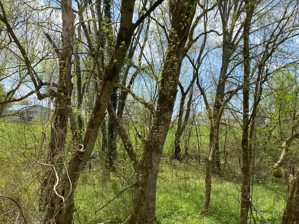 Vista View Dr, Ewing, VA 24248