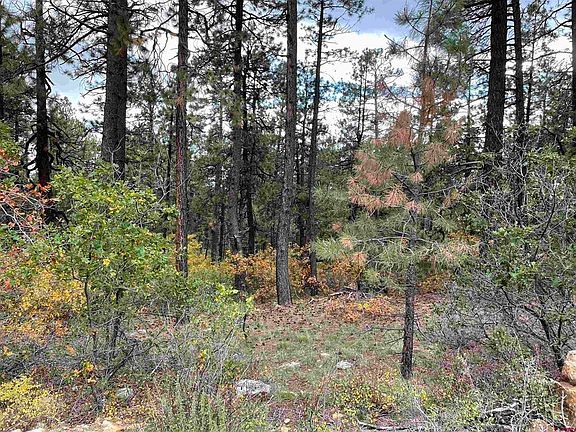 2nd image of 366 & 394 Pine Ridge Drive