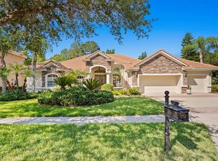 17238 Emerald Chase Dr, Tampa, FL 33647