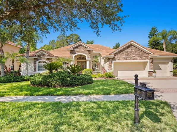 17238 Emerald Chase Dr, Tampa, FL 33647