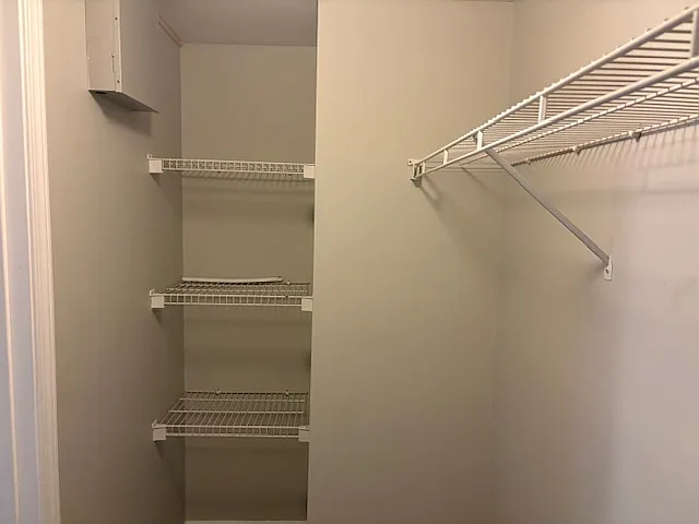 Downstairs closet