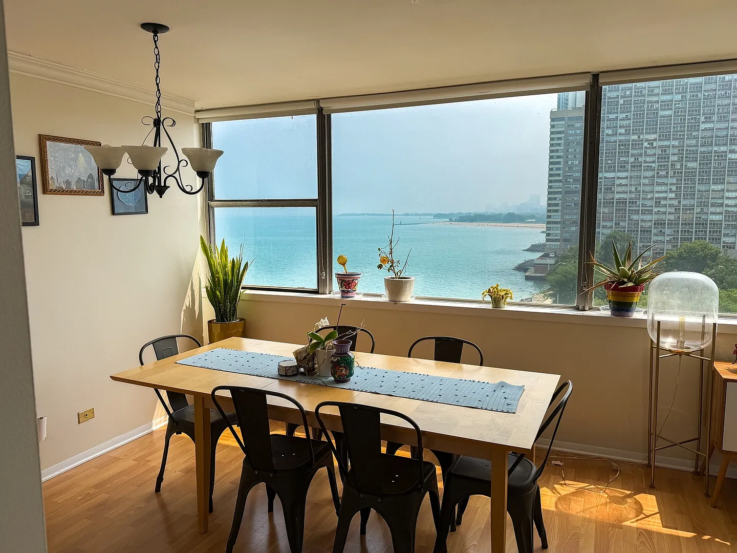1 bed, 810 sqft, $2,000 — Photo 2