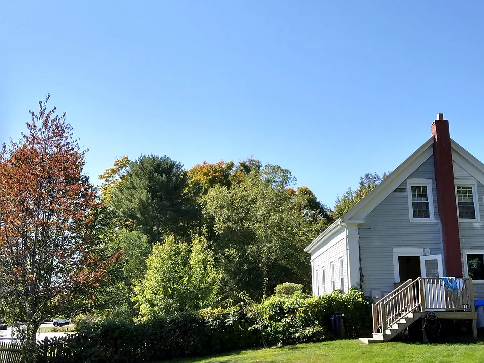 Open back yard with gardens and fruit trees