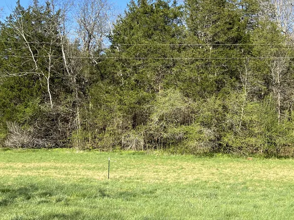 0 Spring Valley Rd Lot 2, Taft, TN 38488