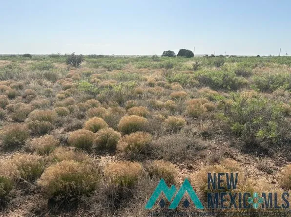 48 State Road 203, Fort Sumner, NM 88119