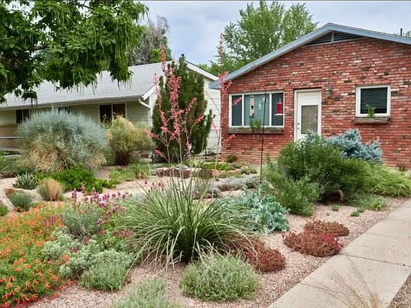 Front yard (summer)
