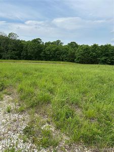 0 County Road 166, Bethel, MO, 63434