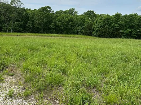 0 County Road 166, Bethel, MO 63434