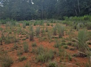 890 Forrester Cemetery Rd, Covington, GA 30014