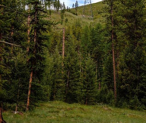 2nd image of Nhn Keystone Gulch Parcel B