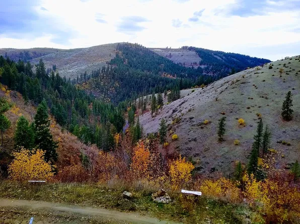 161 W Lightning Loop Rd, Stites, ID 83552