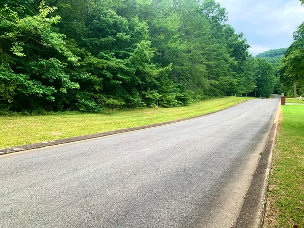93 Big Cedar Dr, Dunlap, TN 37327