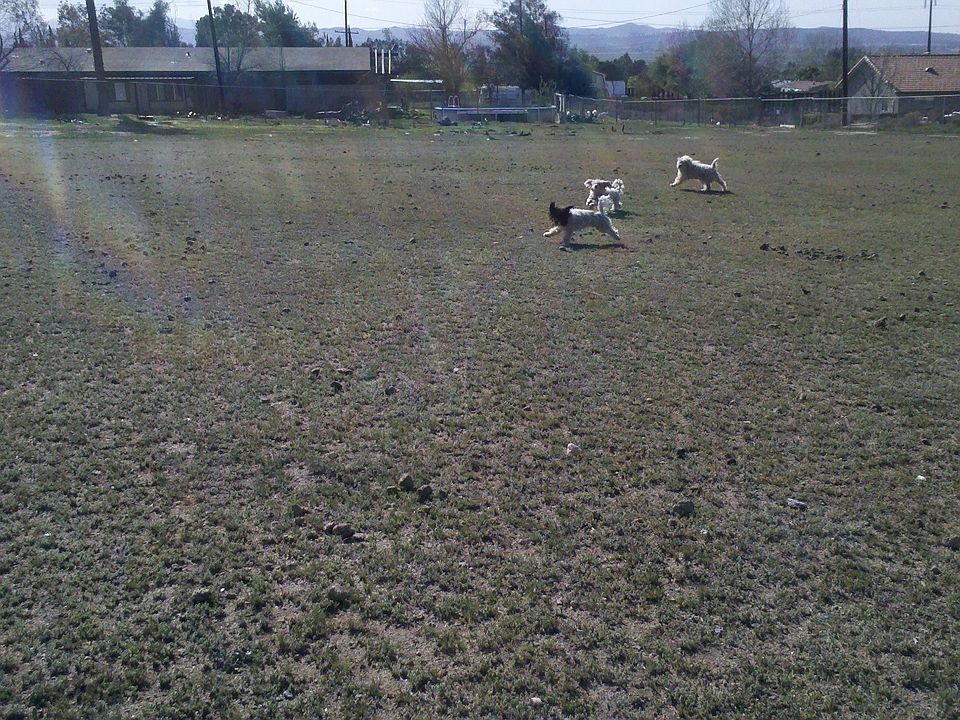 2nd image of 23480 Menifee Rd