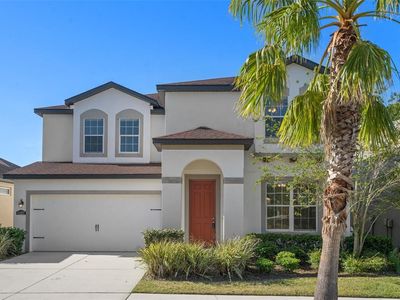 11227 Spring Point Cir, Riverview, FL, 33579