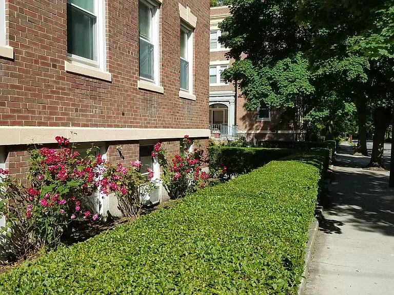 55 Manchester Rd #5 — Photo 21