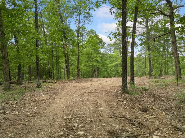 Morgan Cave Rd, Harrison, AR 72601