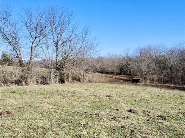 1125 S Van Dyke Rd, Buckner, MO 64016