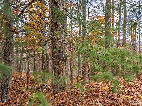 2nd image of 99999 Fern Cove Ln #8