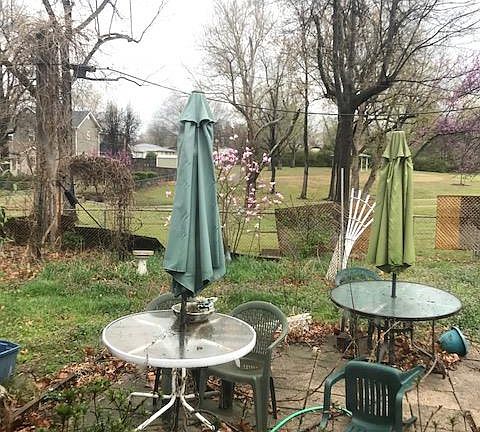 Back yard to Urbana Park