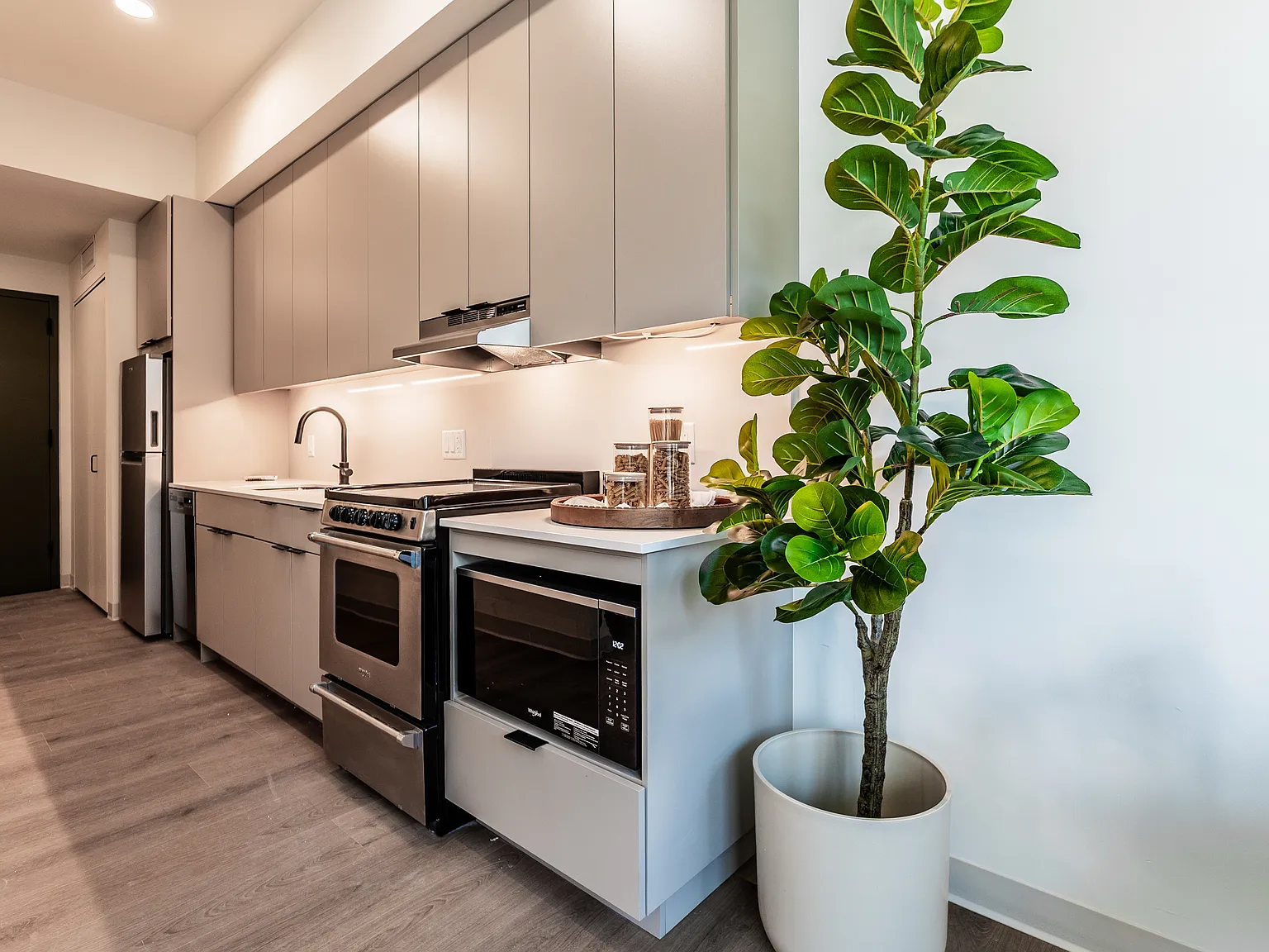 1 bed, 444 sqft, $1,139 — Photo 4