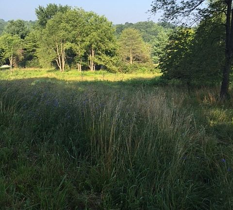 2nd image of 205 Township Rd