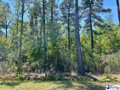 Hamp Rd, Mullins, SC, 29574