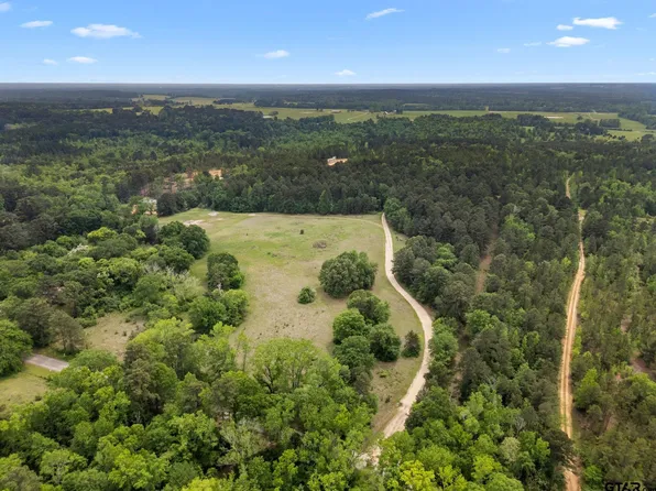 21360 County Road 294, Arp, TX 75750