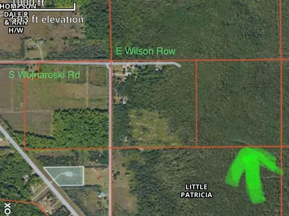 0 E Wilson Row, Goetzville, MI 49736