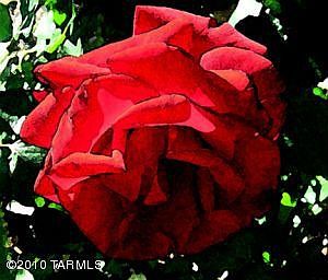 1st image of 7705 N Desert Rose Trl