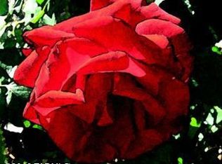 7705 N Desert Rose Trl, Tucson, AZ 85743