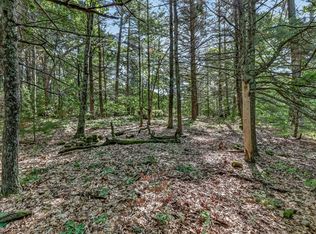 Vl W Michigan Rd #B, Twin Lake, MI 49457