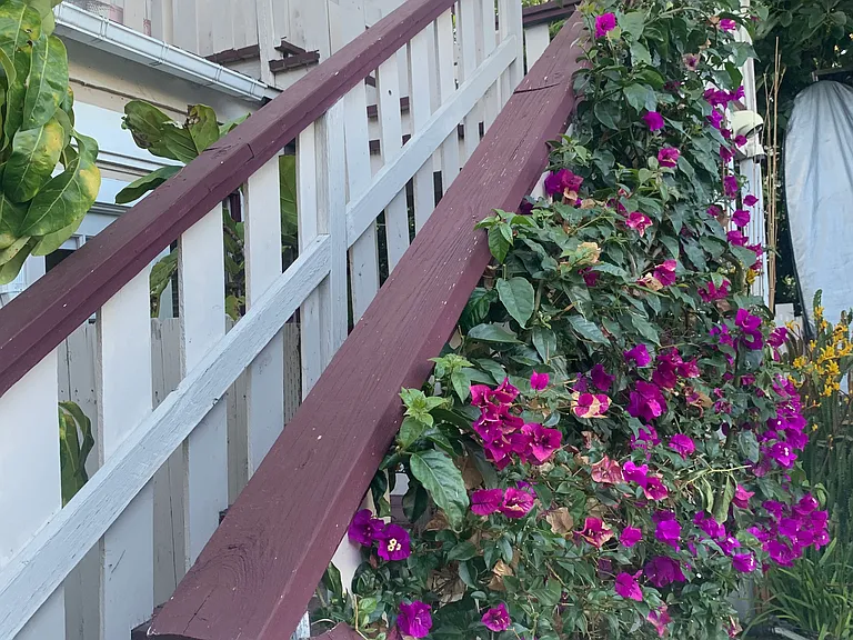 back steps up to deck