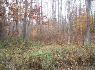 1490 Whites Branch Rd, Wellington, KY 40387