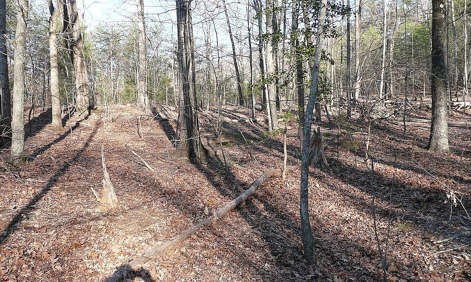 2nd image of 21 Mica Flats Dr