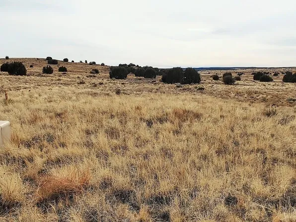 1601 W Harvest Ct, Taylor, AZ 85939