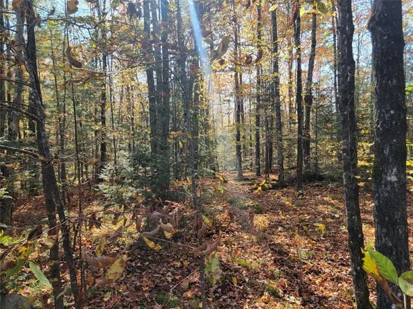3789W Indian Way, Loretta, WI 54896