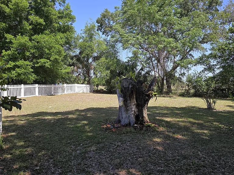 Front Yard
"Spacious front yard with plenty of room to enjoy or garden."