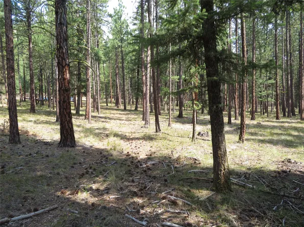 Nhn Rosco Rd, Alberton, MT 59820