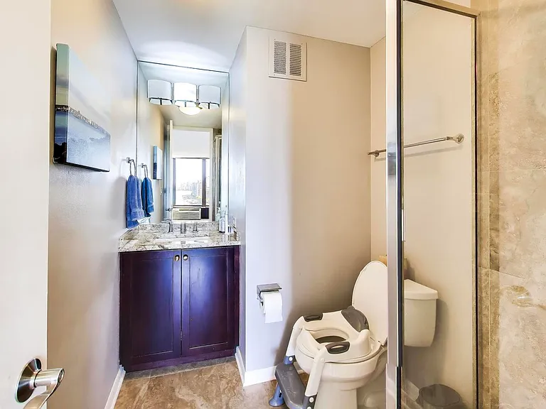505 N Lake Shore Dr #2412 — Photo 16