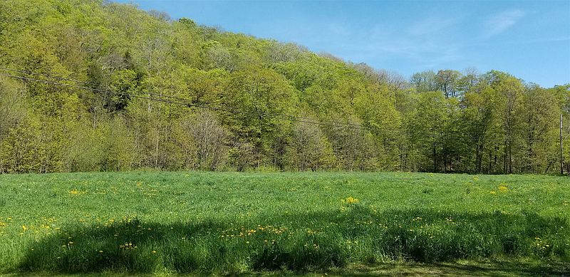 3rd image of BLY HOLLOW Road