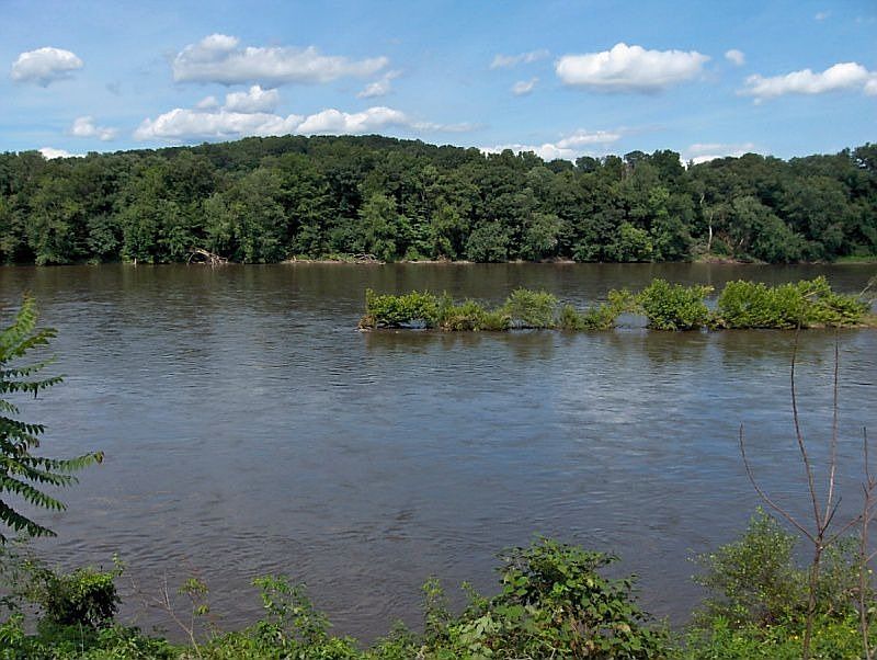 2nd image of 1302 River Rd