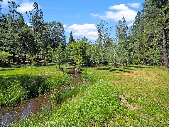 2nd image of 32939 Piney Woods Ln