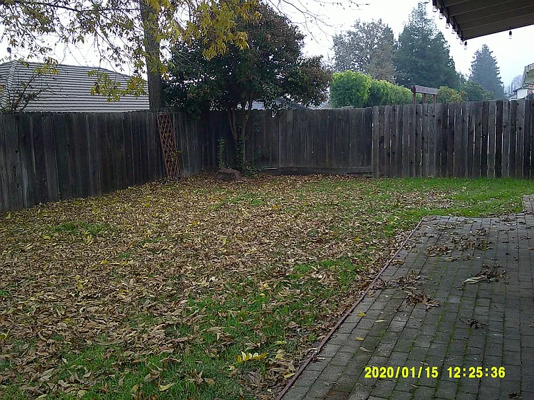 945 Davis St — Photo 19