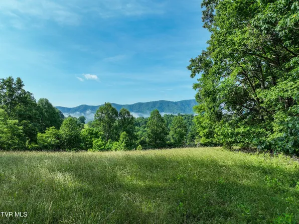 Snowflake Rd, Snowflake, VA 24251