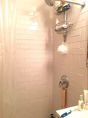 Rented by Adir Realty | media 11