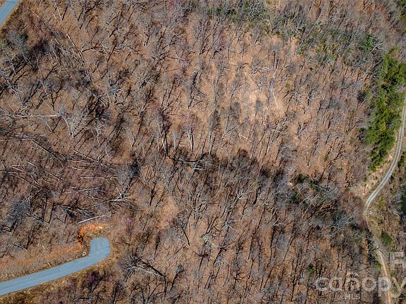 4th image of 0 Devin Ridge Ln #99