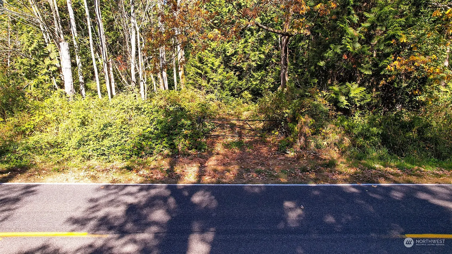 6140 Birch Point Road photo 1